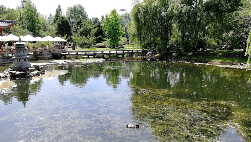 Gärten der Welt,
 Chinesischer Garten