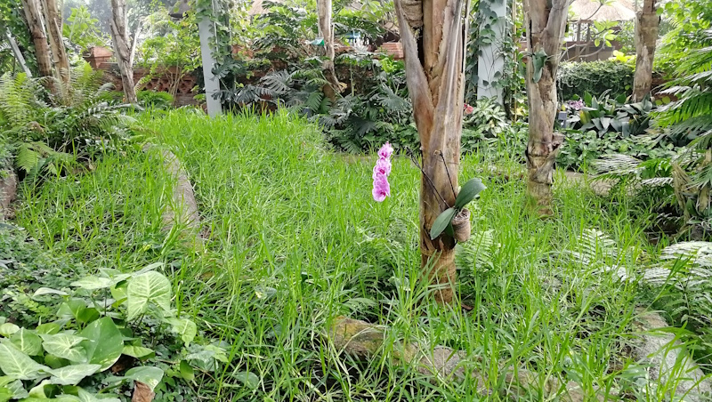 Besuch Gärten der Welt in Berlin-Marzahn,
 Foto: © Wolfgang Blaschke